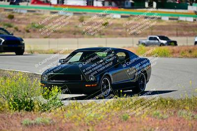 media/Apr-27-2024-LA Shelby Club (Sat) [[ca61902bd2]]/White Group/Session 1 (Turn 2)/